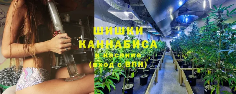 Шишки марихуана OG Kush  купить   Алупка 